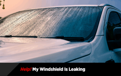 Help! My Windshield is Leaking