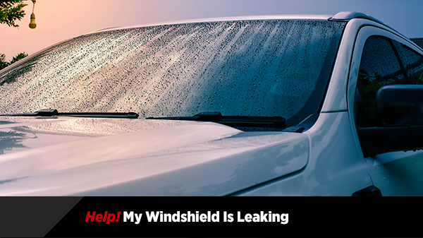 Help! My Windshield is Leaking