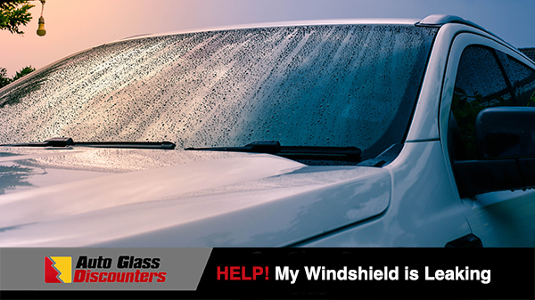 Help! My Windshield is Leaking